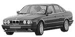 BMW E34 B3650 Fault Code